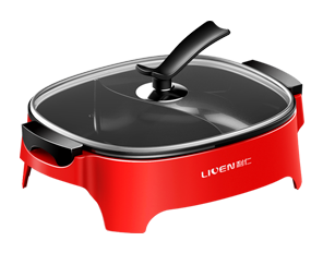 LIVEN DHG-600BY